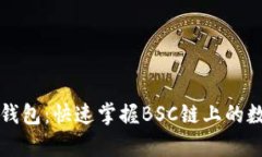 全面解析TP钱包：快速掌握BSC链上的数字资产管理