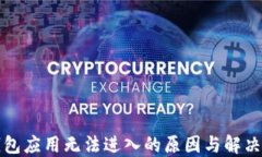 TP钱包应用无法进入的原因与解决方法