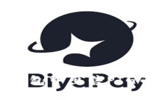 如何在TP钱包中出售PIG币：