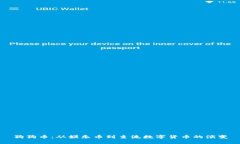 狗狗币：从娱乐币到主流