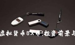 全面解析虚拟货币BX币：投