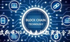 全面了解虚拟币NDA：未来的投资机会与市场分析