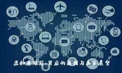 虚拟币爆崩：背后的原因