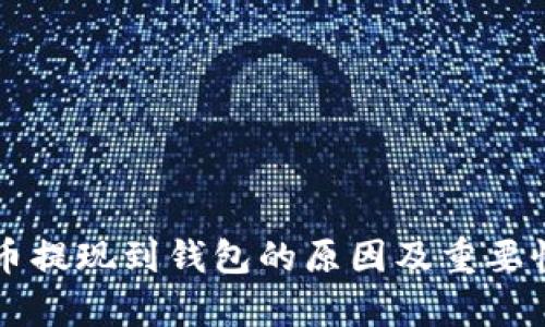 虚拟币提现到钱包的原因及重要性分析