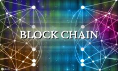 在TP钱包中如何观察钱包的资产与交易记录关键词