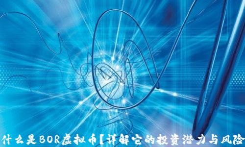 
什么是BOR虚拟币？详解它的投资潜力与风险