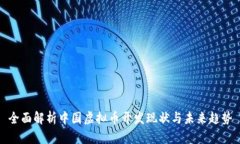 全面解析中国虚拟币开发