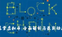 暴雪虚拟币：全面解析与