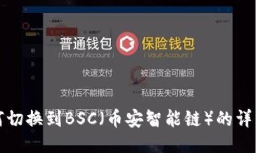 TP如何切换到BSC（币安智能链）的详细指南
